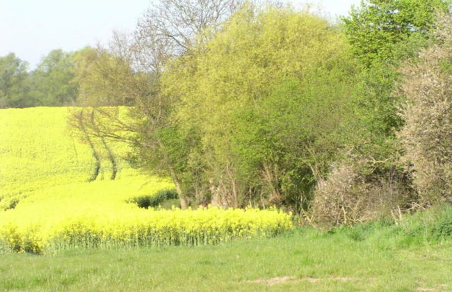 Einladende Ferienwohnung in Gerdshagen mit Garten - Foto 28