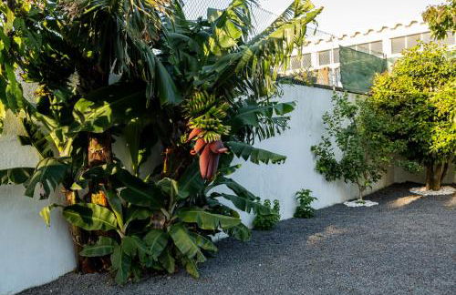 Azores Palmeira Villa - Photo 49