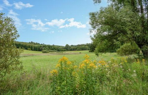 Amazing Home In Gietrzwald With Wifi - Foto 10