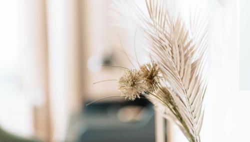 Deichstadt Apartments - Foto 5