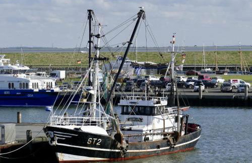 Apartment Ilka by Interhome - Foto 12