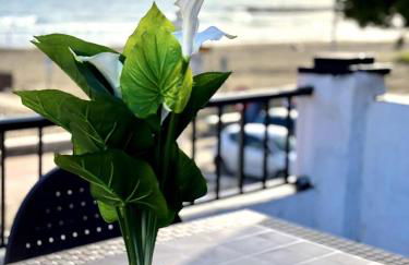 ANSA Beach Apartments - El Palo - Photo 23