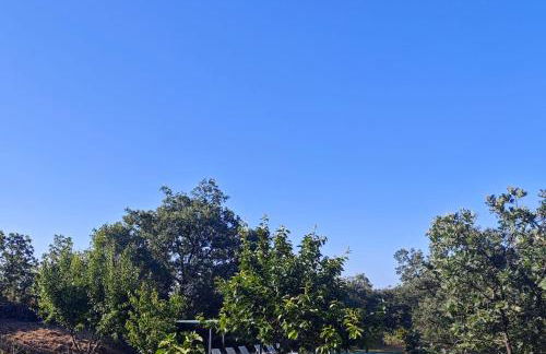 Casa Rural Colmenarejo - Foto 73