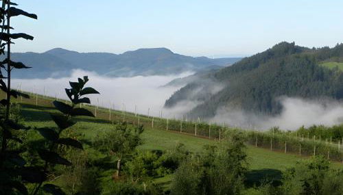 Ferienhaus Hubhof - Foto 4