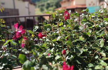 EL BALCÓN PANORÁMICO DEL TIÉTAR - Foto 43