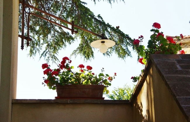 La Tavola dei Cavalieri - Foto 63