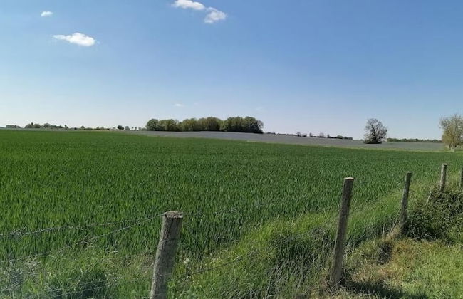 Ferme du Caroire - Foto 5