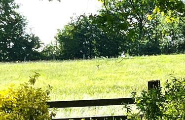 Ferienwohnung Rehblick in Reken - Ruhe & Erholung pur! - Foto 20