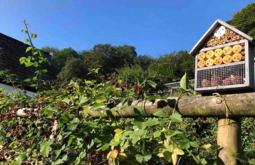 A cosy hideaway on the Jurassic Coast - Photo 5