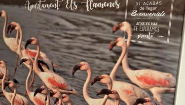 Apartament Els Flamencs - Foto 2