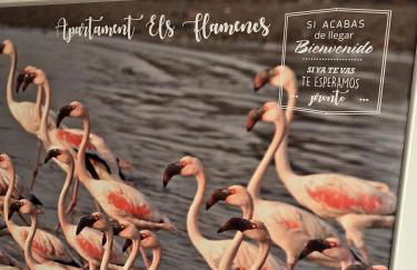 Apartament Els Flamencs - Foto 2