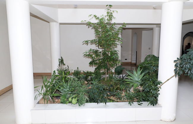 Shailoh Folyjon 2Bedroomed Wing - Foto 18