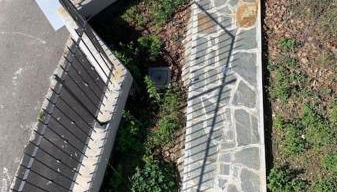 B&B Margante - MXP - Breakfast gluten free su richiesta - Foto 3, Garden