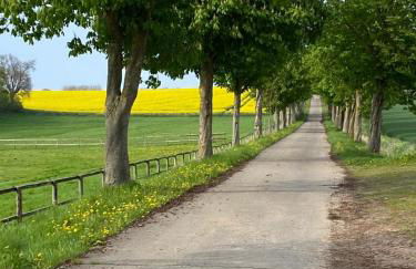 Schmuckstück in Ostseenähe - Foto 26