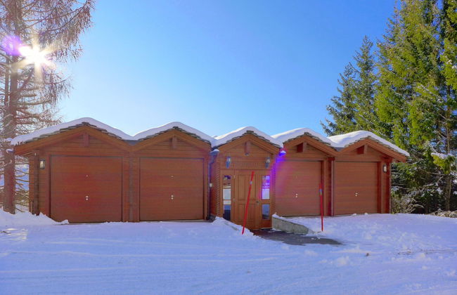 Soldanella 2 - Foto 39