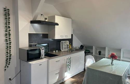 Le garden cottage 20m² 2 personnes - Foto 7