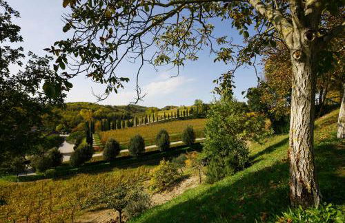 Relais Russiz Superiore - Foto 37