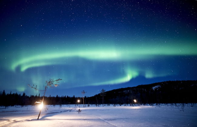 Villa Happy Fox - Photo 32