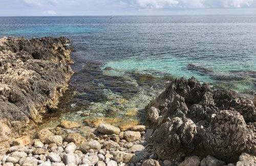 Villa Ellie - 100m from the beach - Photo 4