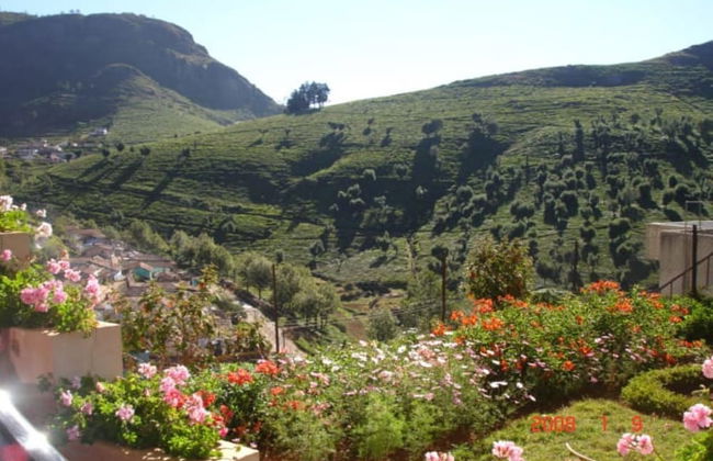 ONELOVEDALE Blusalz Homes - Foto 8