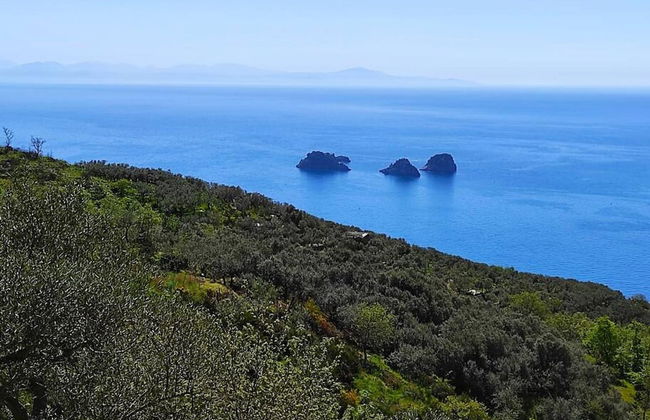 Domus Smeraldo Terrace and sea View Amalfi Coast - Photo 35