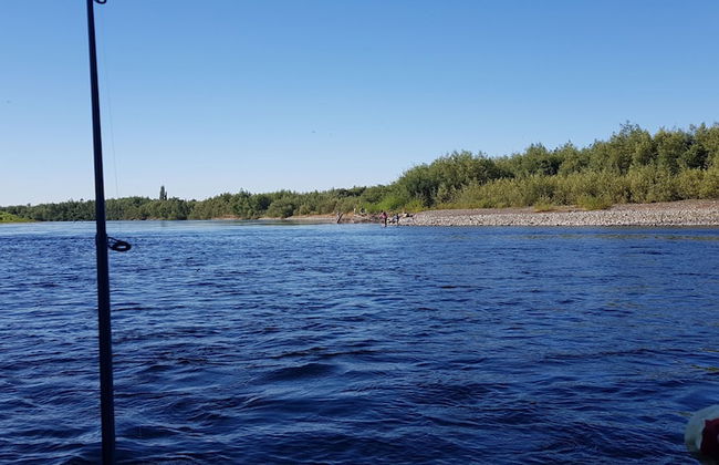 Parque Los Arrayanes & Salon de Eventos - Foto 15