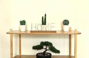 Charming studio - Photo 10