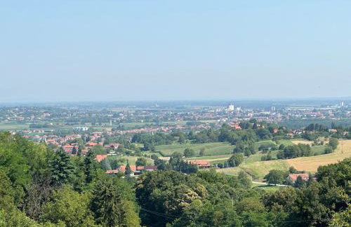 Forest paradise - Photo 33