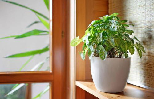 Ferienhaus Am Bauerngarten - Foto 57