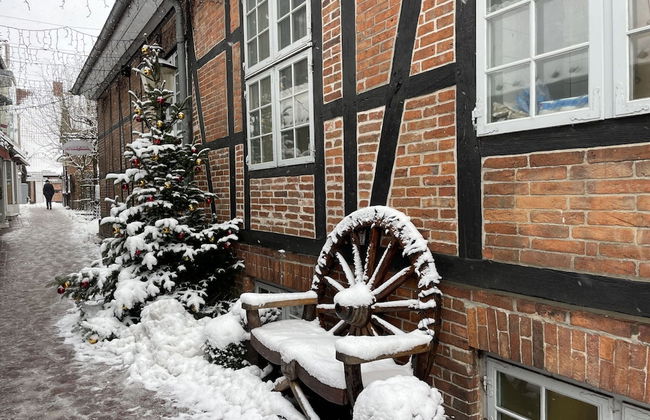 Flat in Eutin on the Kleiner Eutiner See Lake - Photo 29