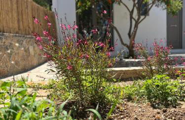 Gioma Garden Villas - Foto 70