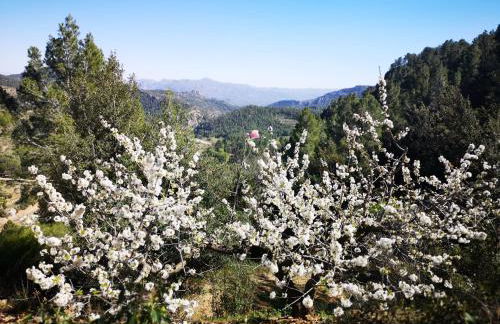 L'Antic Forn de Paüls - Foto 67