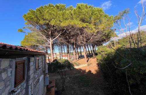 Villa Cristina - Foto 12