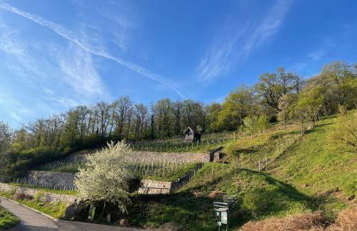 Fränkisches Nest am Schwanberg für 2-4 Personen - in der Nähe aller Weingüter, KNAUF GIPS KG und ConneKT - Foto 22