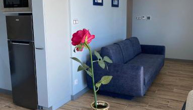 Relax Planet - Foto 5