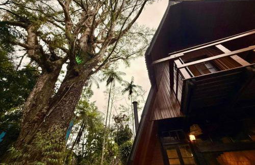 Cabana Eucalipto - Photo 59