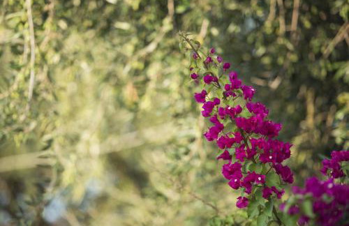 Villa Mariza Corfu - Foto 67