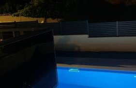 Palm Blues - Photo 28