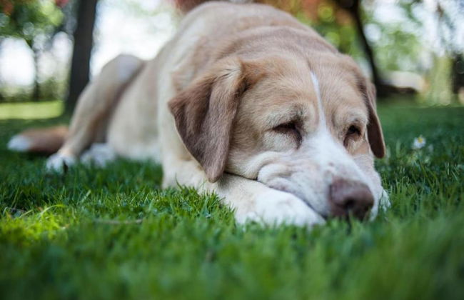 Modern Holiday Home in Foiano Della Chiana With Pool - Foto 67