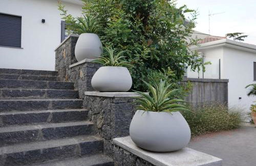 Viscalori Homes - Foto 18