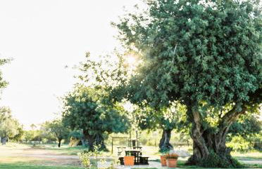 Conversas de Alpendre - Foto 44