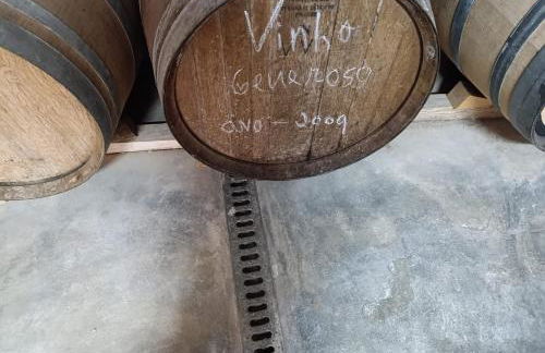 Cosy Historical House in Lamego - Quinta do Cabo - Foto 54