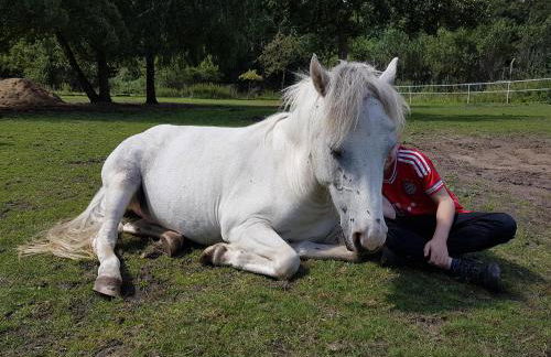 Doppelhaushälfte Nordwind vom Naturhof Usedom - Foto 42