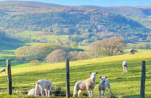 Snowdonia 1-Bed Chalet Sleeps 2 Stunning Views - Photo 14