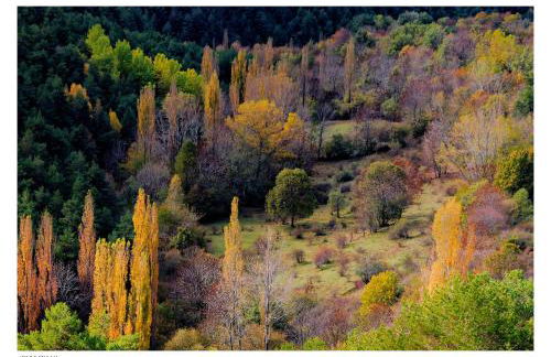 Turisme Rural Lo Pallé de Cal Bosch - Foto 25