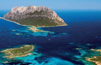 VILLA A 200 METRI DALLA SPIAGGIA - Foto 40