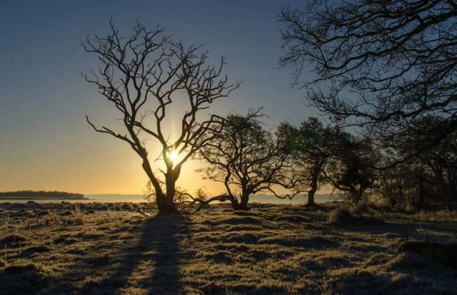 6 Person Holiday Home in Kettinge - Foto 23