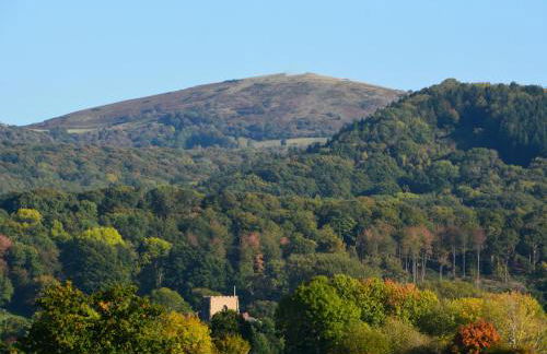 Fantasia - Uk46009 - Foto 33