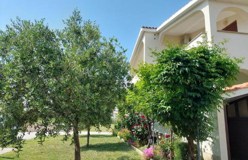 Apartments Vlasici - Foto 9