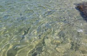 Recanto do Mar - Foto 30